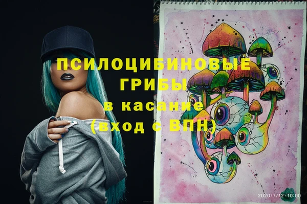 дживик Наволоки