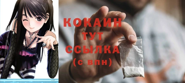 дживик Наволоки