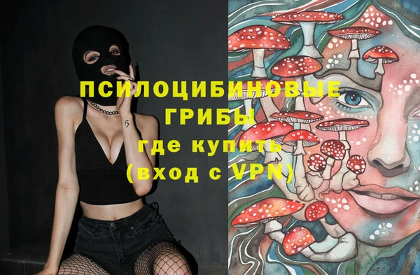 ешки Нефтегорск