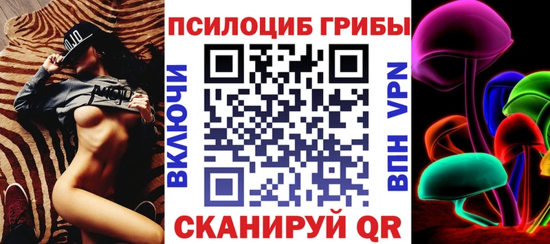 Купить  Красавино  Галлюциногенные грибы мицелий 